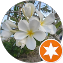 Naomi Tulaga profile picture