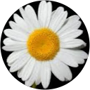 Clarielle Hernandez profile picture